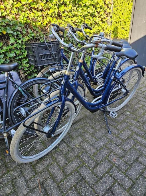 Smalland Loosdrecht Amsterdam Esterno foto